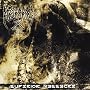 Superior Massacre