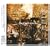 �A�C�I���C�g(�����)(DVD�t)