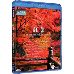 �g�t~autumn with your favorite music~V-music~ [Blu-ray]