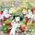 TV�A�j���u��-��HiME�v�I���W�i���T�E���h�g���b�N Vol.2 �����̋F��