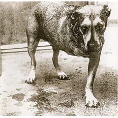 Alice in Chains