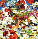 [CD]orange pekoe Wild Flowers