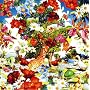 Wild Flowers(���񐶎Y�����)(DVD�t)