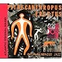 Pithecanthropus Erectus