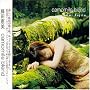 camomile Blend (CCCD)