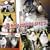 ��������!!(DVD�t)