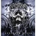 Southern Storm [12 inch Analog]