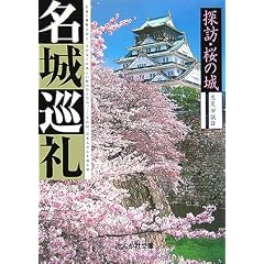 ���鏄��\�T�K�E���̏� (�Ԃ񂩎Е���)