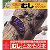 �ނ��\���炵�Ƃ�������