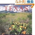 Texas (The America Series)