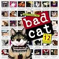 Bad Cat 2007 Calendar (Wall Calendar)