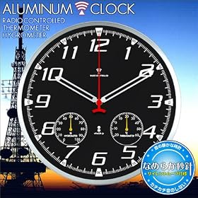 ���߂��͎̂��F���Ɛ��m�����A�i���O�d�g�|�����vAR �u���b�N a02839
