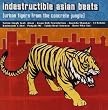 Indestructible Asian Beats: Urban Tigers