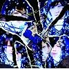 �s���SBeautyfool Days(��������B)