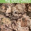 The Icicle Works