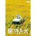 ����錢 [DVD]