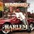 Harlem: Diary of a Summer