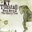 Black Horse & the...