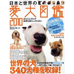 ���{�Ɛ��E�̈����}��2010 (�^�c�~���b�N)