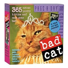 Bad Cat 2009 Calendar: 365 Not-so-pretty Kitties and Cats Gone Bad (Original Page a Day Calendars)