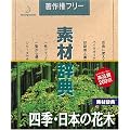 �f�ގ��T Vol.146 �l�G�E���{�̉Ԗؕ�