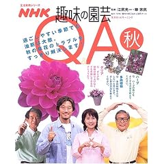 NHK��̉��|Q&A (�H) (�������p�V���[�Y�\�����ق��ƃ��[�j���O)