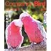Companion Bird No.4 (2005)�\�������Ɗy�������K�ɕ�炷���߂̏�� SEIBUNDO Mook