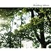 Wedding Album