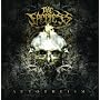Autotheism ~ The Faceless