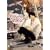 HURTLESS/HURTFUL (MF���� J �� 2-7)