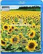 ��~Scenery with Flowers~ V-music [Blu-ray]