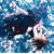 passage ~�I�т݂Ȏ� BEST ALBUM II~