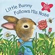 Little Bunny Follows His Nose (Scented Storybook)