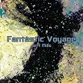 Fantastic Voyage