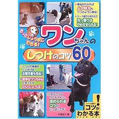 �����Ƃ��傤���ɂł���!���������̂����̃R�c60 (�R�c���킩��{)