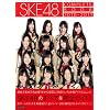 SKE48 COMPLETE BOOK 2010-2011
