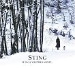 �E�B���^�[�Y�E�i�C�g(�����)(DVD�t)