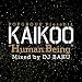 POPGROUP PRESENTS KAIKOO "HUMAN BEING"