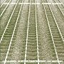 Electric Counterpoint / Different Trains, Electric ~ Kronos Quartet