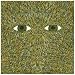 Pattern & Grid World (WAP308CD)