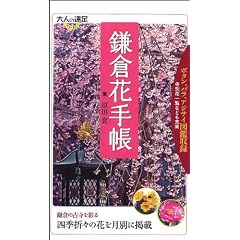 ���q�Ԏ蒠 (��l�̉���BOOK) (�Z�l�̉���BOOK)