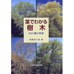 �t�ł킩����� 625��̌���