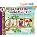 What Is the World Made Of?: All About Solids, Liquids, and Gases (Let's-Read-and-Find-Out Science 2)