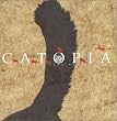 CATOPIA�\ANTIQUE POSTCARD PHOTOGRAPHS