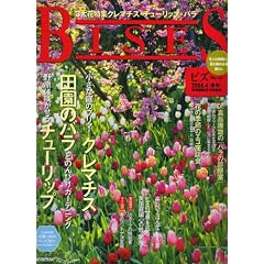 BISES (�r�Y) 2008�N 04���� [�G��]
