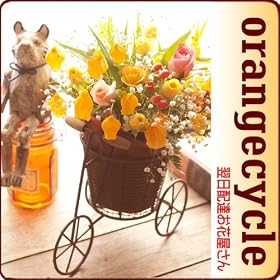 �ԁ@�v���[���g ���߂܂ł̂������͗����z�B�y�z�B���w��s�z�@�����z�B�@���ԉ�����