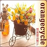 �ԁ@�v���[���g ���߂܂ł̂������͗����z�B�y�z�B���w��s�z�@�����z�B�@���ԉ�����