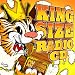 KING SIZE RADIO CD~PANDORA MIX BOX~