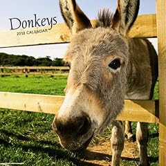 Donkeys 2010 Calendar