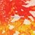 BOHEMIAN-Beautiful Things-